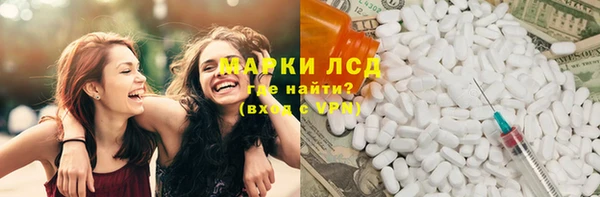 прущие грибы Алзамай