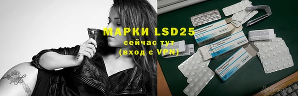 прущие грибы Алзамай