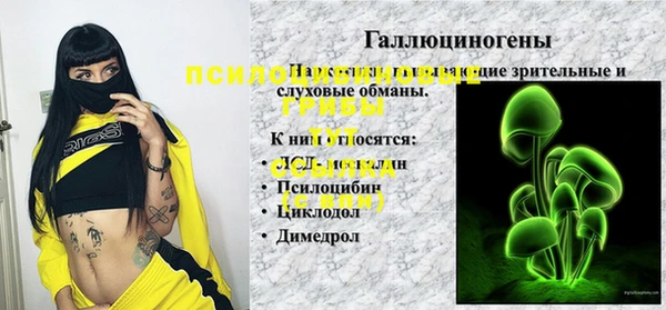 прущие грибы Алзамай
