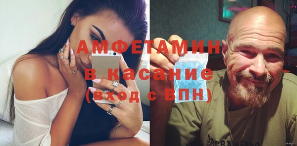 прущие грибы Алзамай